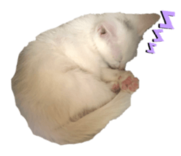 548378966