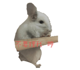 548409664