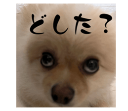 548442705