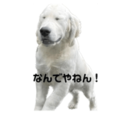 548536665