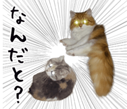 548628634