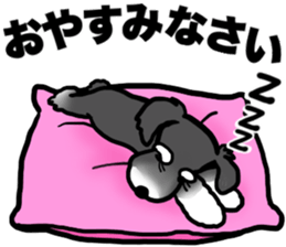 548635545