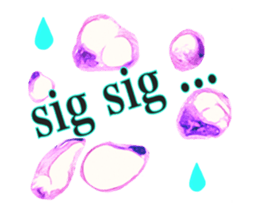 548640876