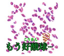 548640877