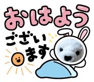 548642024