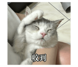 548652583