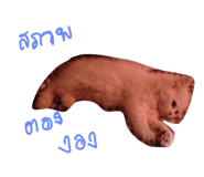 548659307