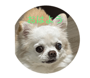 548716566