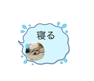 548716568
