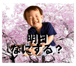 548720095
