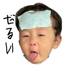 548720155