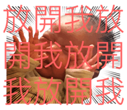 548807660