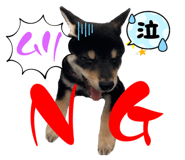 548829980