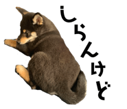 548829985