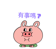 548880804
