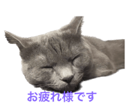 548881672