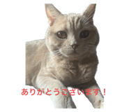 548881673