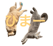 548881680