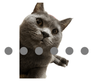 548881686
