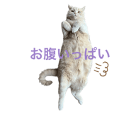 548881690