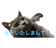 548881691