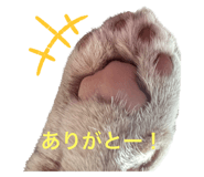 548881697