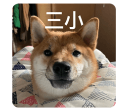 548894302