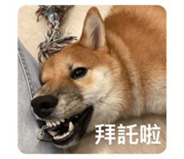 548894305