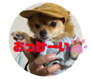 548896953