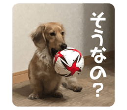 548923050