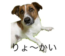 548948897