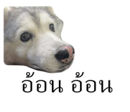 548960730