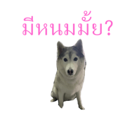 548960731