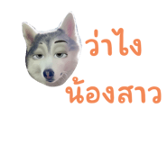 548960732