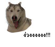 548960733