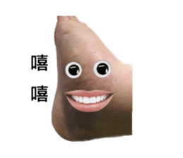 549020679