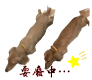 549047230