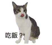 549047551