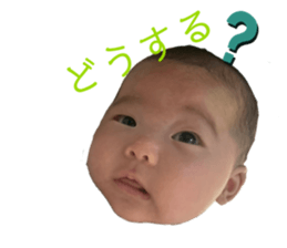 549061130