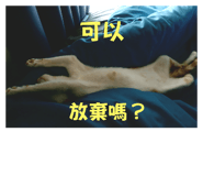 549088293