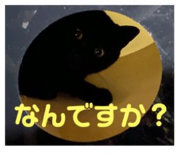 549109159