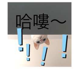 549137648
