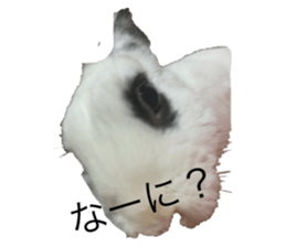 549170161