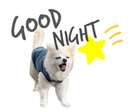 549180472