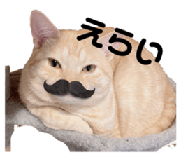 549181229