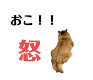 549202226