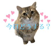 549202229