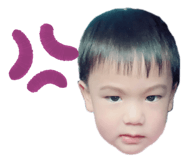 549205656
