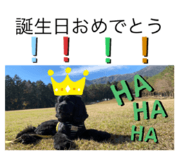 549234539
