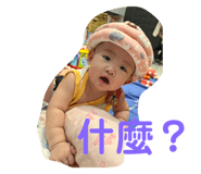 549234934